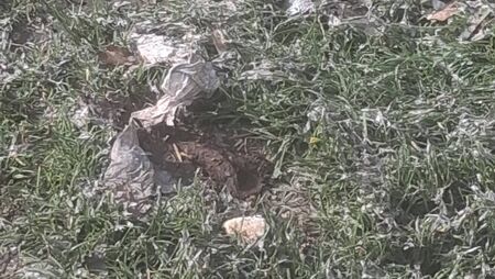 Sewage spill in housing estate is ‘rancid’