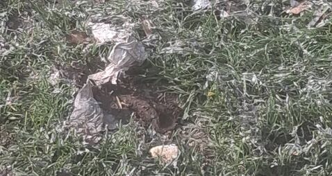 Sewage spill in Carlow housing estate is ‘rancid’