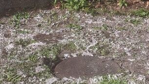 <p>Human faeces and toilet issue have flowed out of a manhole near Burrin Manor in Carlow town </p>