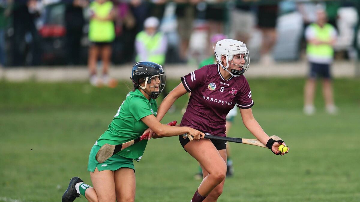 Naomh Bríd brush aside St Mullins