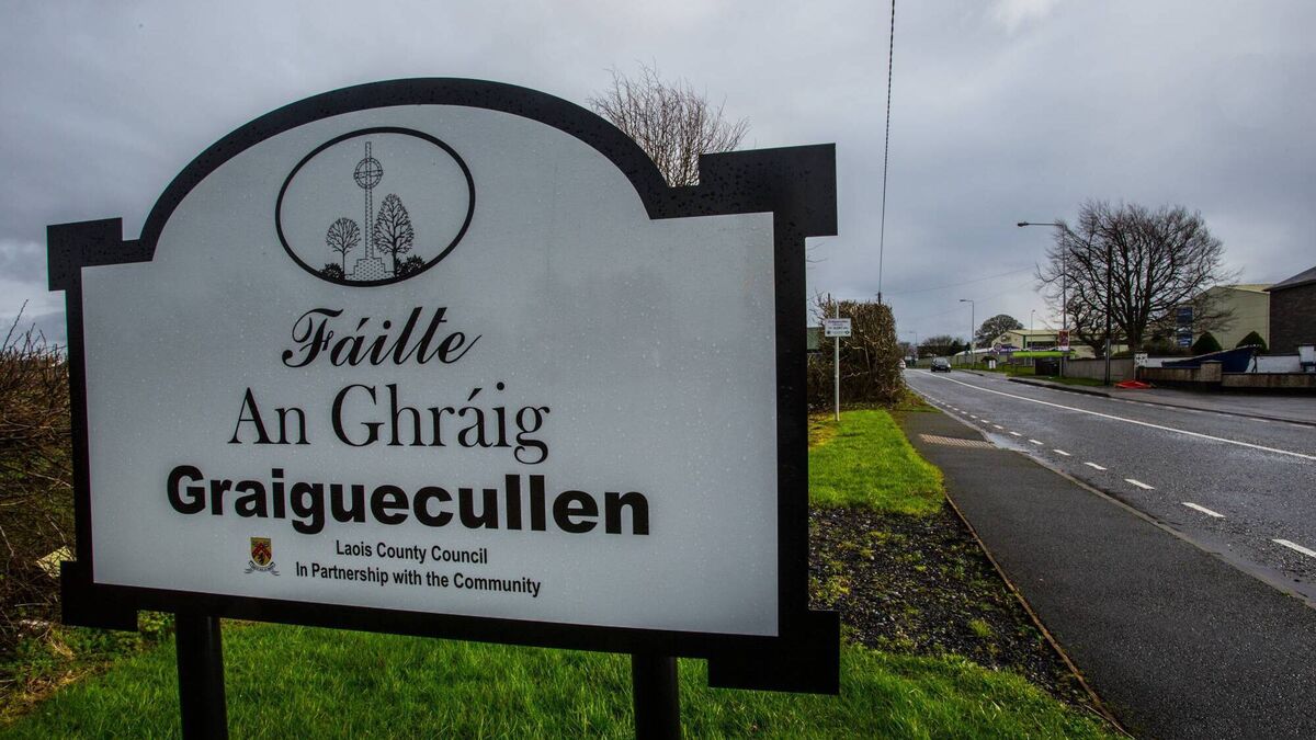 Bus extension sought for outlying estates in Graiguecullen