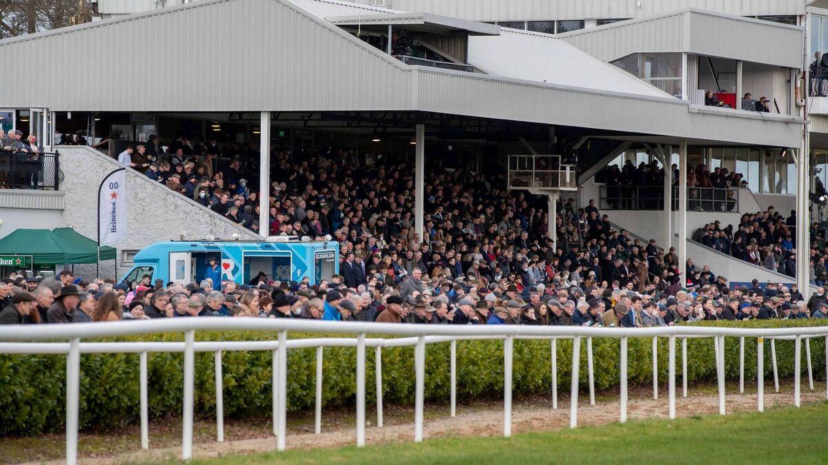 Gowran Park Racecourse: Preview and tips for Saturday’s right-race card
