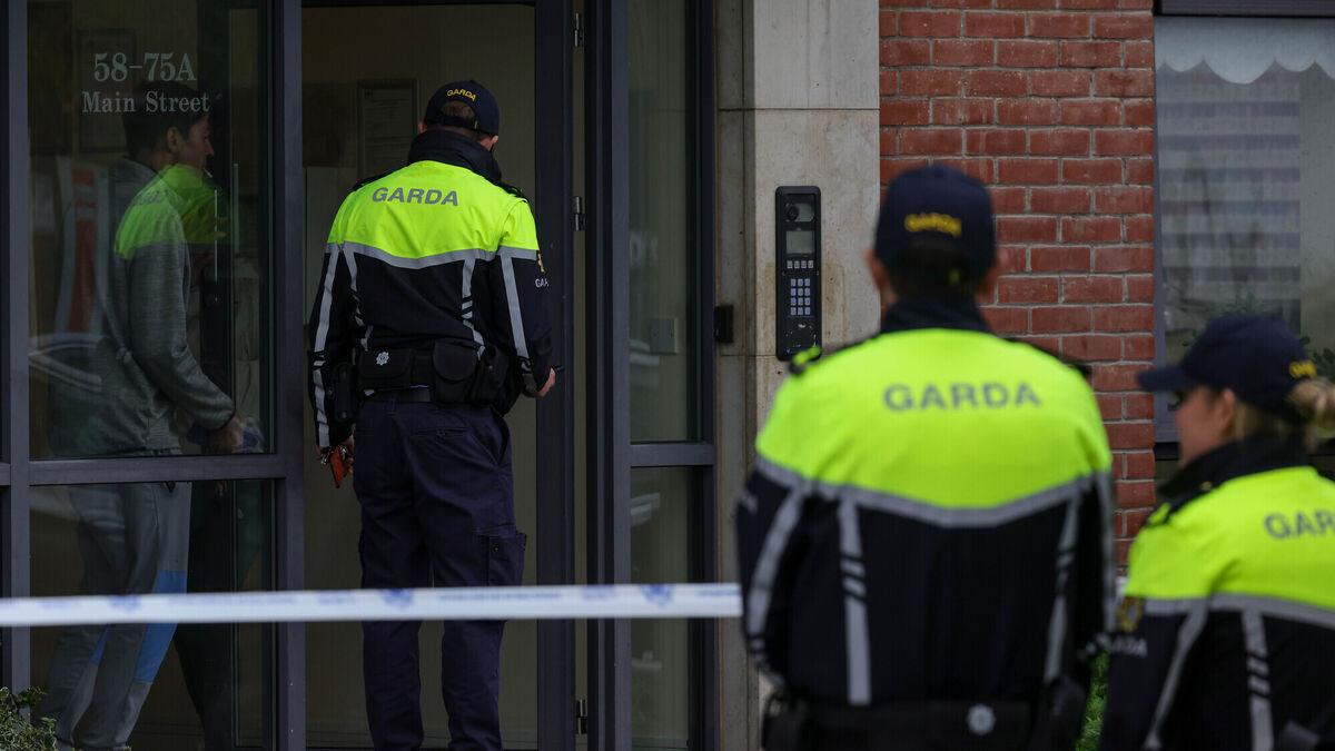 Two men arrested at scene of break-in in Graiguecullen