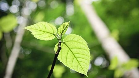 Carlow community groups awarded €420k for climate and energy projects