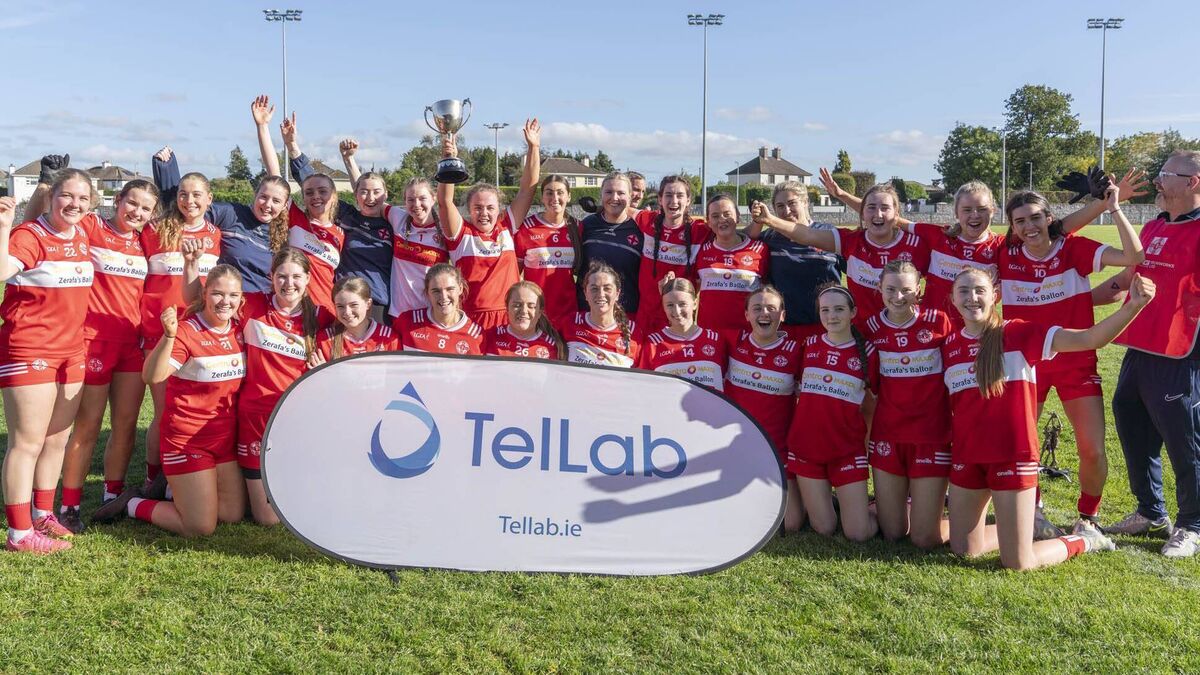 Ballon win hostile junior county final