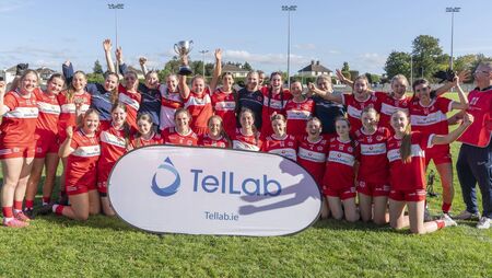 Ballon win hostile junior county final