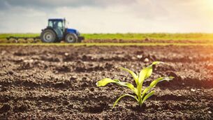 <p>Stock image of tractor on farm</p>