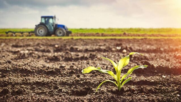 Government announces one-week extension to slurry spreading 