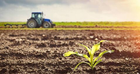 Government announces one-week extension to slurry spreading 