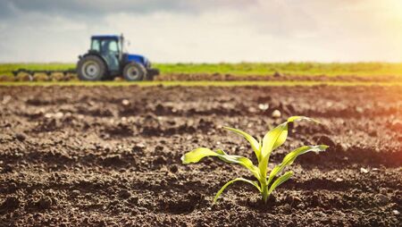 Government announces one-week extension to slurry spreading 