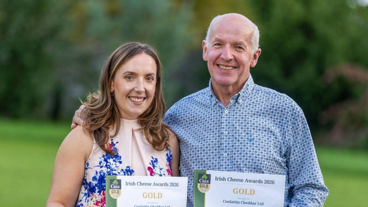 Coolattin Cheddar picks up three culinary awards