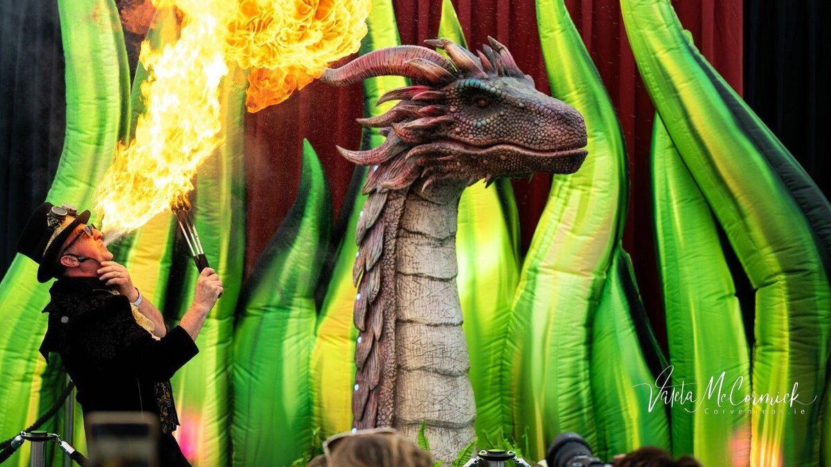 Here be dragons in Carlow this Halloween!