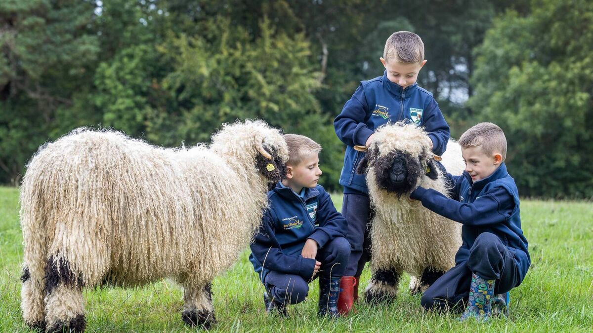 Carlow triplets launch AgriKids campaign
