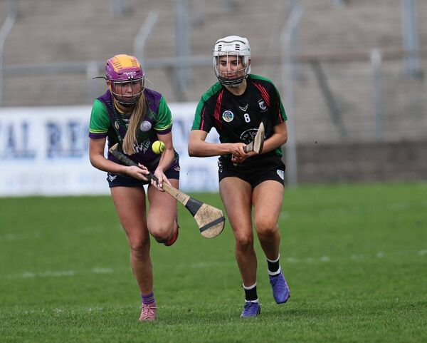Setanta's Siobhan Sinnott and Muinebheag's Rebecca Kelly were two of the top performers in Saturday's Intermediate Championship final. Setanta's Siobhan Sinnott and Muinebheag's Rebecca Kelly were two of the top performers in Saturday's Intermediate Championship final.