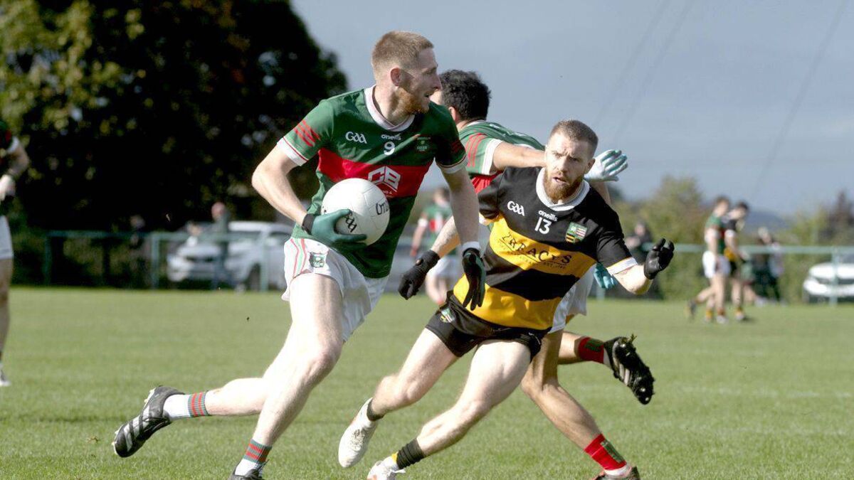 Late Graiguecullen rally salvages senior survival