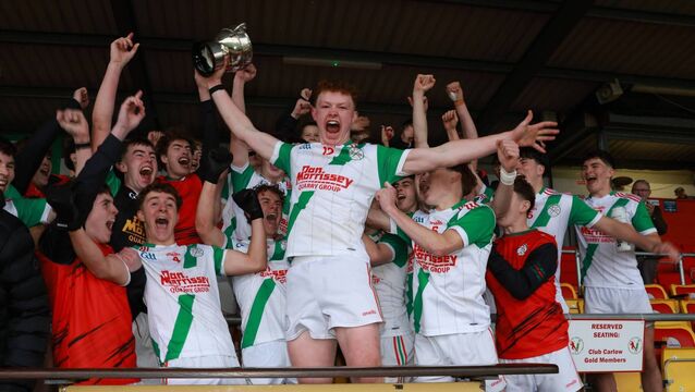 Palatine deliver dominant display in Minor final