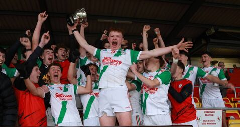 Palatine deliver dominant display in Minor final