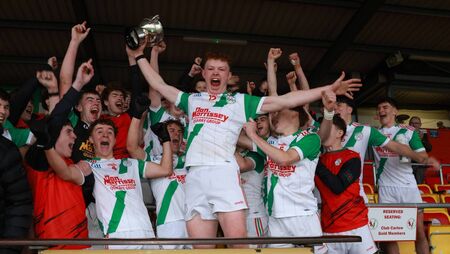 Palatine deliver dominant display in Minor final