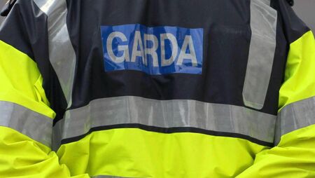 Alleged assault victim found on N7