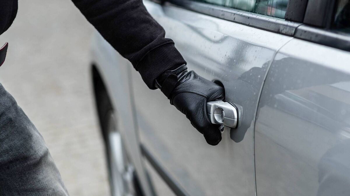 Carlow man pleads guilty to series of thefts worth over €1,000 and gets suspended sentence