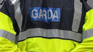 <p>Local gardai were alerted to the threatening emails</p>