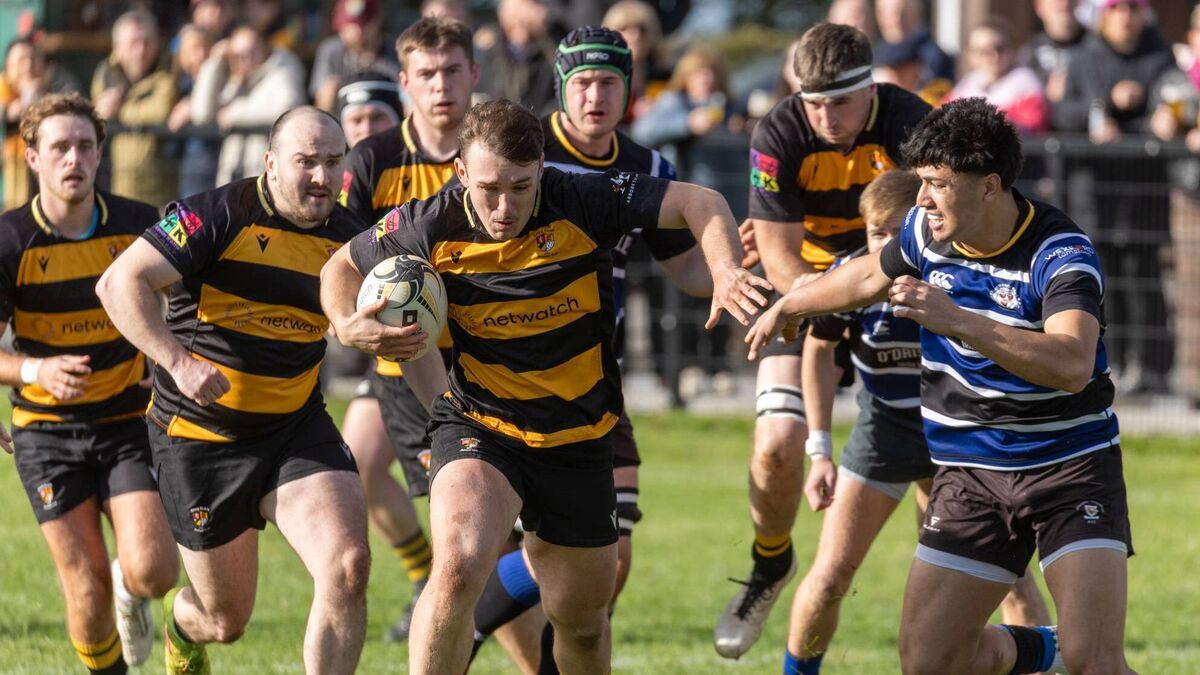 Strong start helps Carlow hold off Wexford to win first game of the season