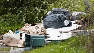 <p>234 instances of illegal dumping have been detected so far</p> <p>234 instances of illegal dumping have been detected so far</p>