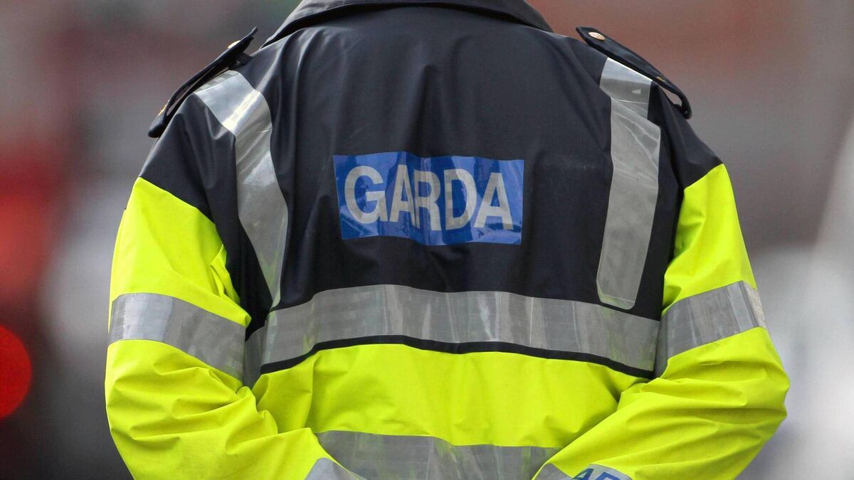 Seven new gardaí allocated to Carlow county