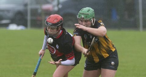 Mount Leinster Rangers dethrone reigning champions Camross