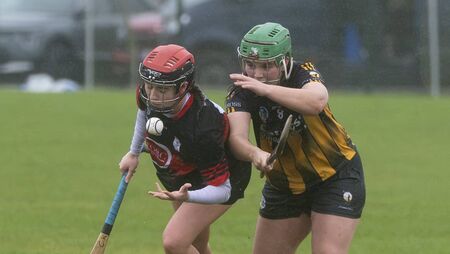 Mount Leinster Rangers dethrone reigning champions Camross